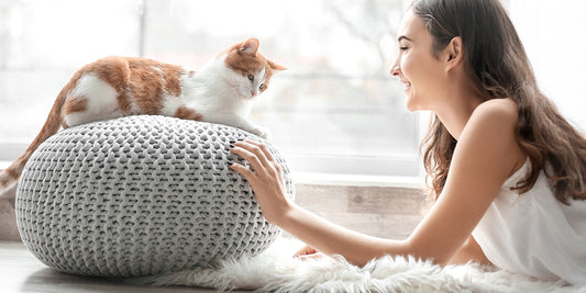 How To Bond and Spend Quality Time With Your Cat