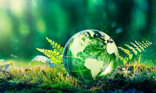 Is Cat Litter Bad for the Environment?
