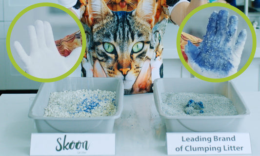Reasons Why Non-clumping Cat Litter Is Better