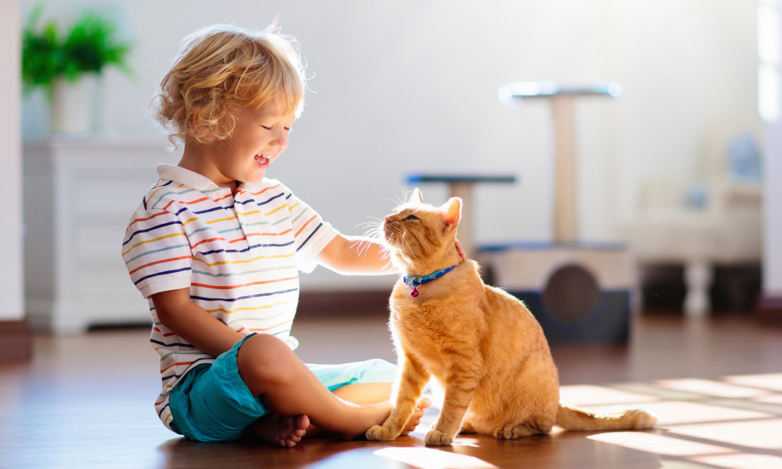 What is the Best Hypoallergenic Cat Litter?
