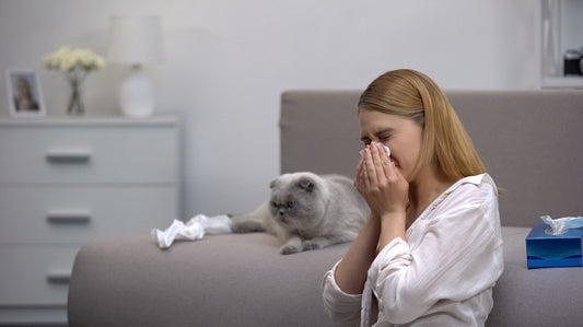 Skoon’s Hypoallergenic Kitty Litter Powers