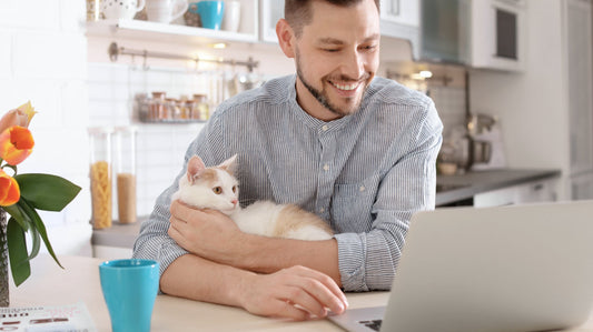 What Skoon Cat Litter Reviews Can Do For You