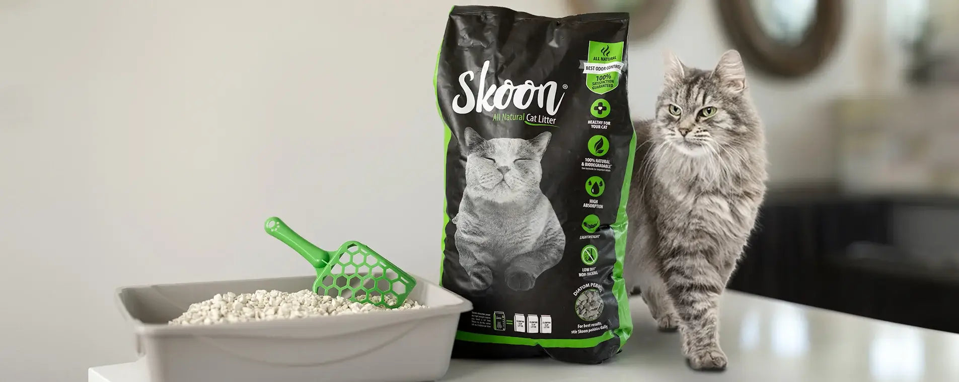 Cat Litter Subscription Service Skoon Cat Litter