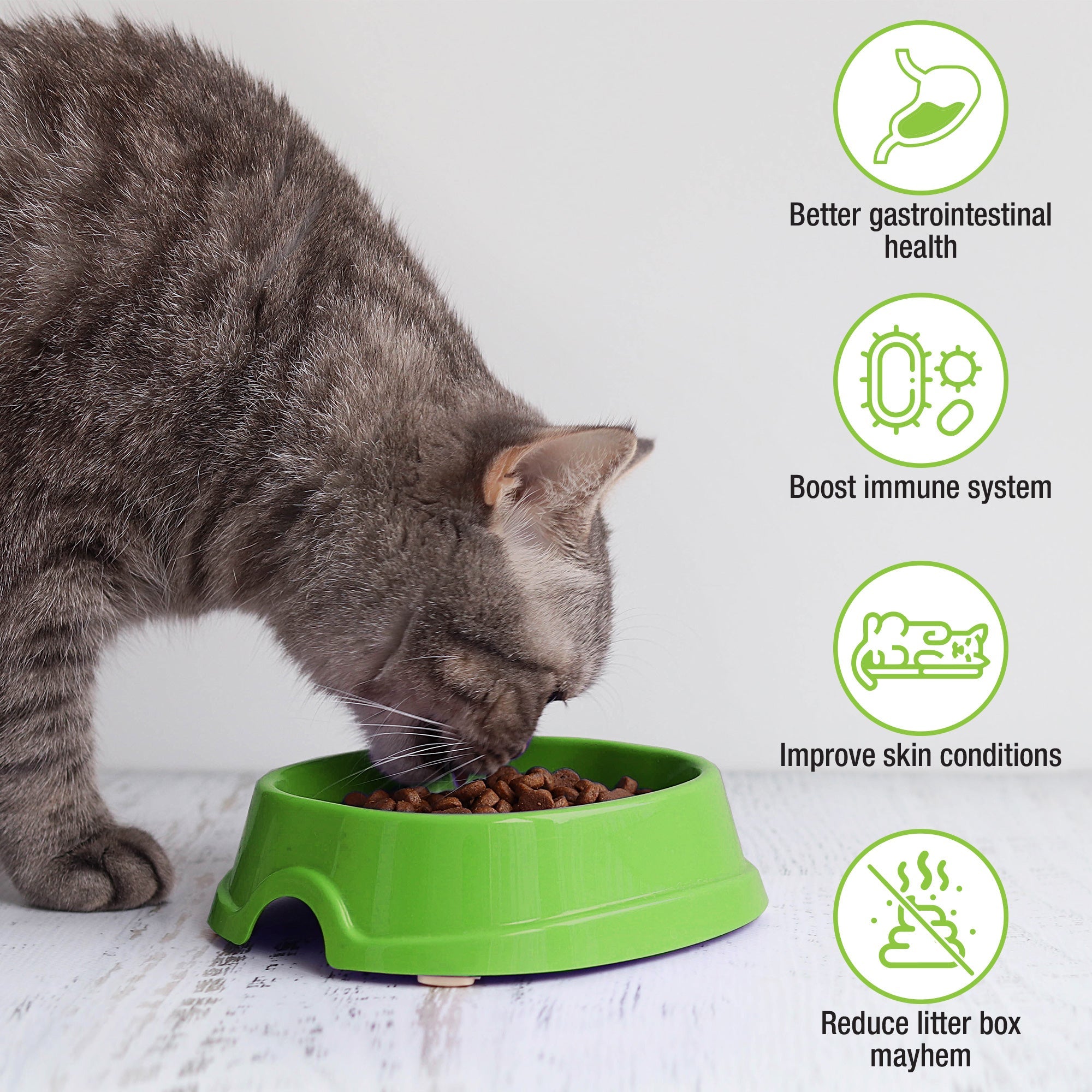 Skoon Cat Probiotics