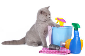 Make Spring Cleaning Easier with Skoon | Skoon Cat Litter