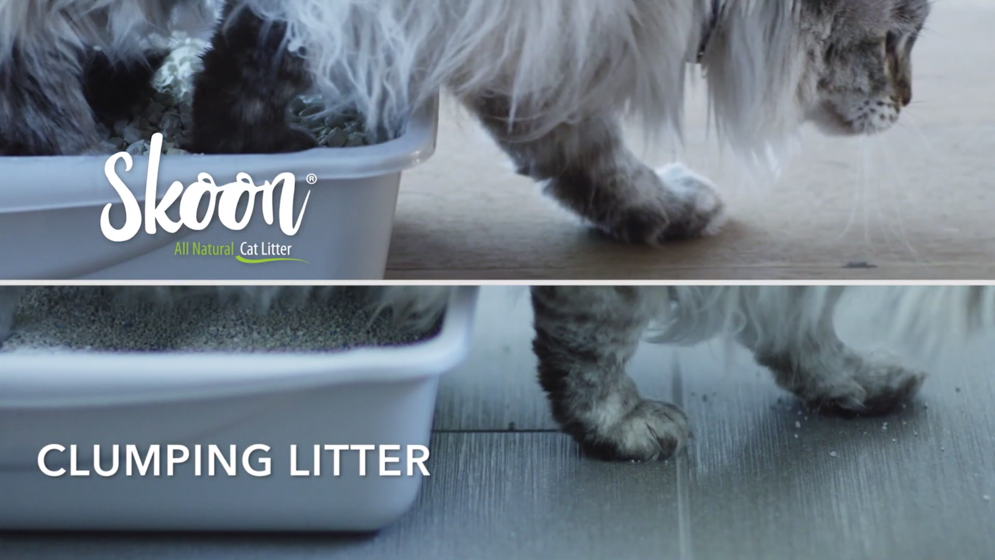 Best lowdust cat litter for a clean, happy home Skoon Cat Litter
