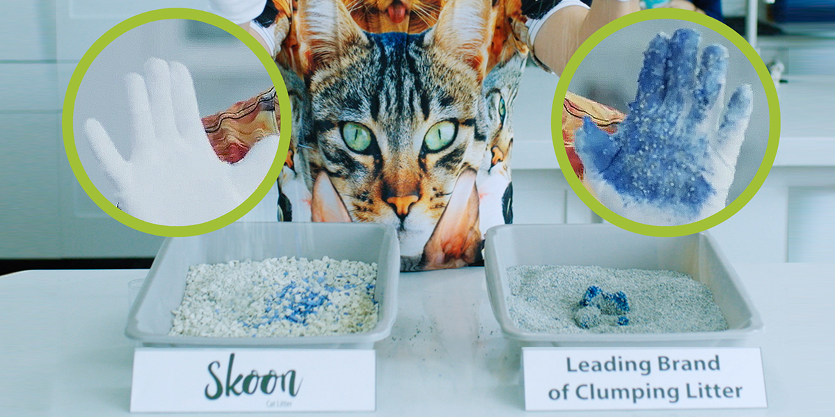 What You Need to Know About Non Clumping Cat Litter Skoon