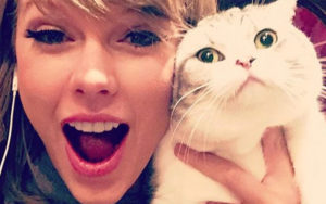 Taylor’s Cool Cat Names: Meredith Grey, Olivia Benson and Benjamin Button