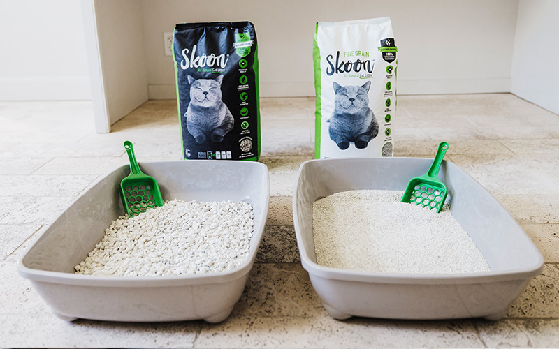 How to Keep Your Cat s Litter Box From Smelling Up the Whole House Our Cat Litter Blog Skoon Cat Litter