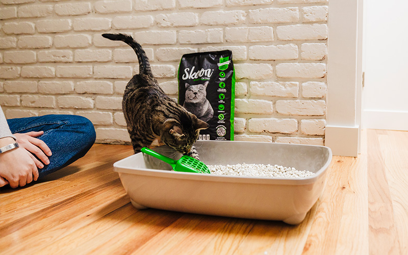 Hypoallergenic cat litter hotsell