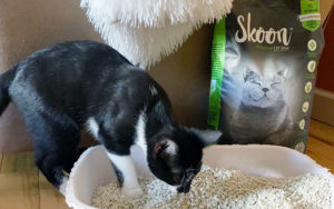 A Breakdown of the Best Types of All-Natural Cat Litter