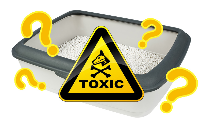 Is Silica Cat Litter Safe?