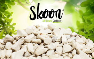How Skoon Stacks up Against Other All-Natural Cat Litters
