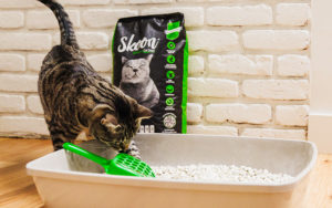 What Makes Natural Cat Litter Different