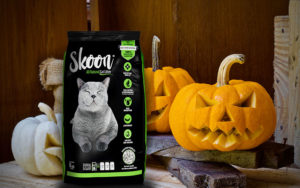 Don’t Let The Litter Box Scare You This Halloween
