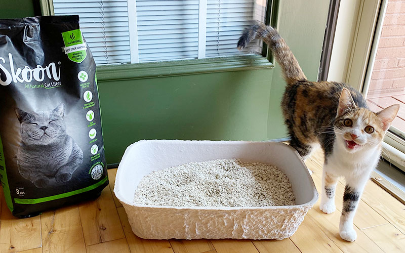 Cat Poop Can Be Weird. Your Litter Box Doesn’t Have To Be