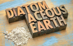  Is it the Same as Diatomaceous Earth?
