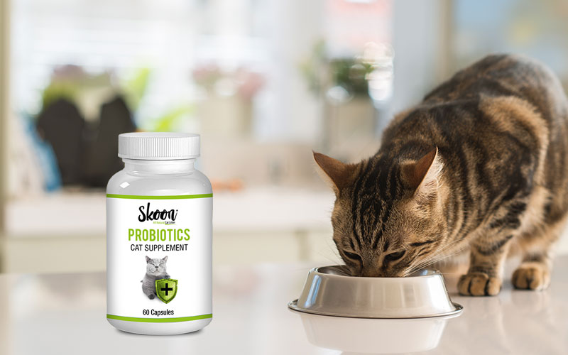 Skoon Cat Litter and Supplements