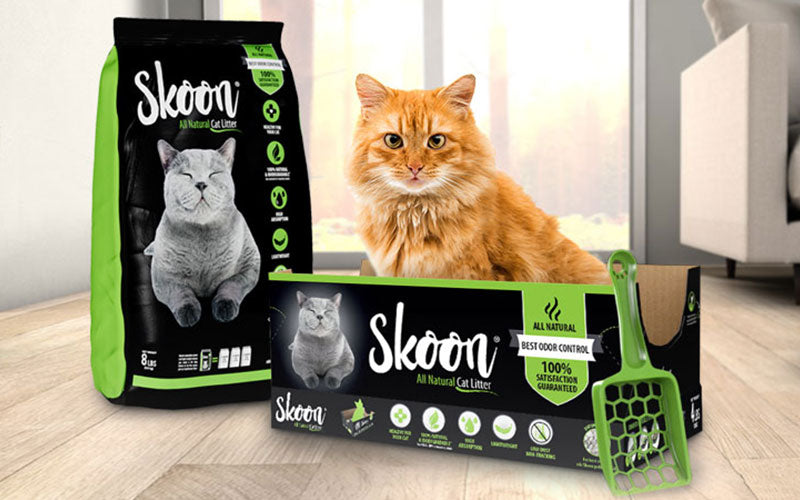 How do Diatom Pebbles Eliminate Litter Box Odors? Our Cat Litter Blog