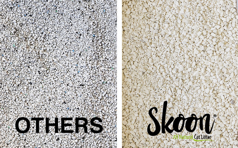 Learn How Different Types of Cat Litter Are Made Skoon