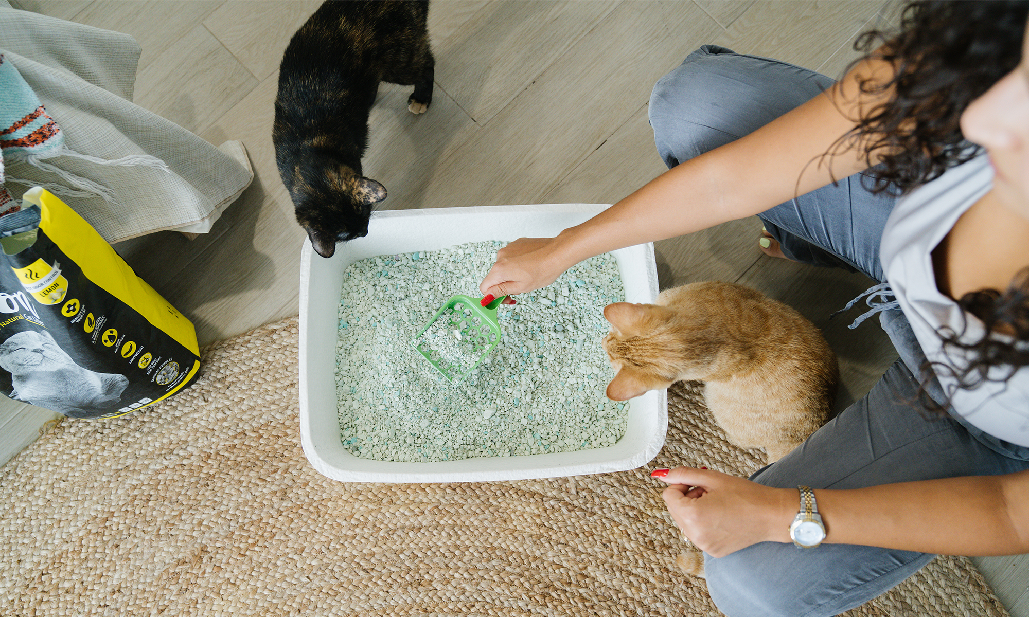 How Different Types of Cat Litter Are Made