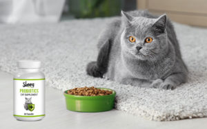 Choose Skoon Probiotics for Your Cat