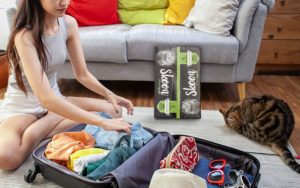 Choose Skoon to Make Traveling With Your Cat Easier