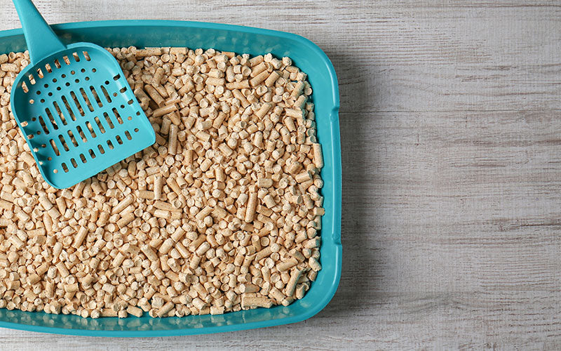 Cat Litter Comparison Skoon Cat Litter