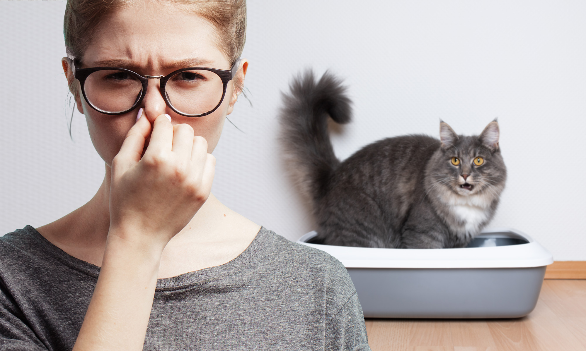 Cat Litter Hacks to Combat Litter Box Odor