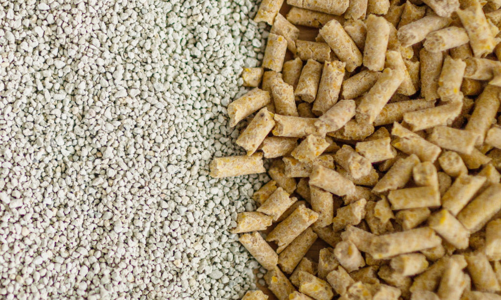 Cat Litter vs. Pellets: What You Need to Know