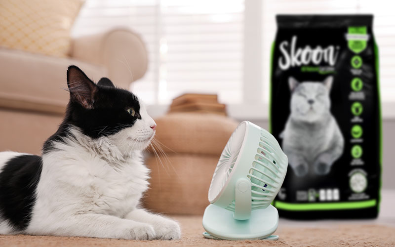 Choose Skoon Cat Litter This Summer