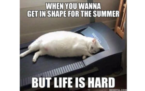 Treadmills Are For Napping, Right?