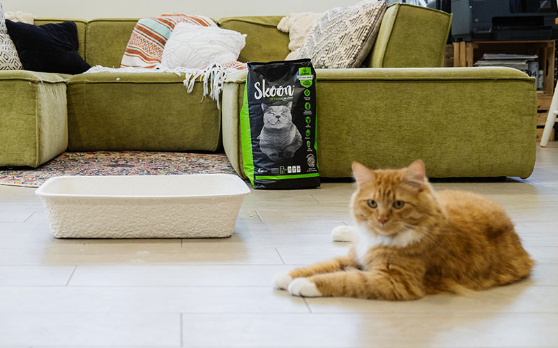 Solve Cat Litter Box Problems with Skoon