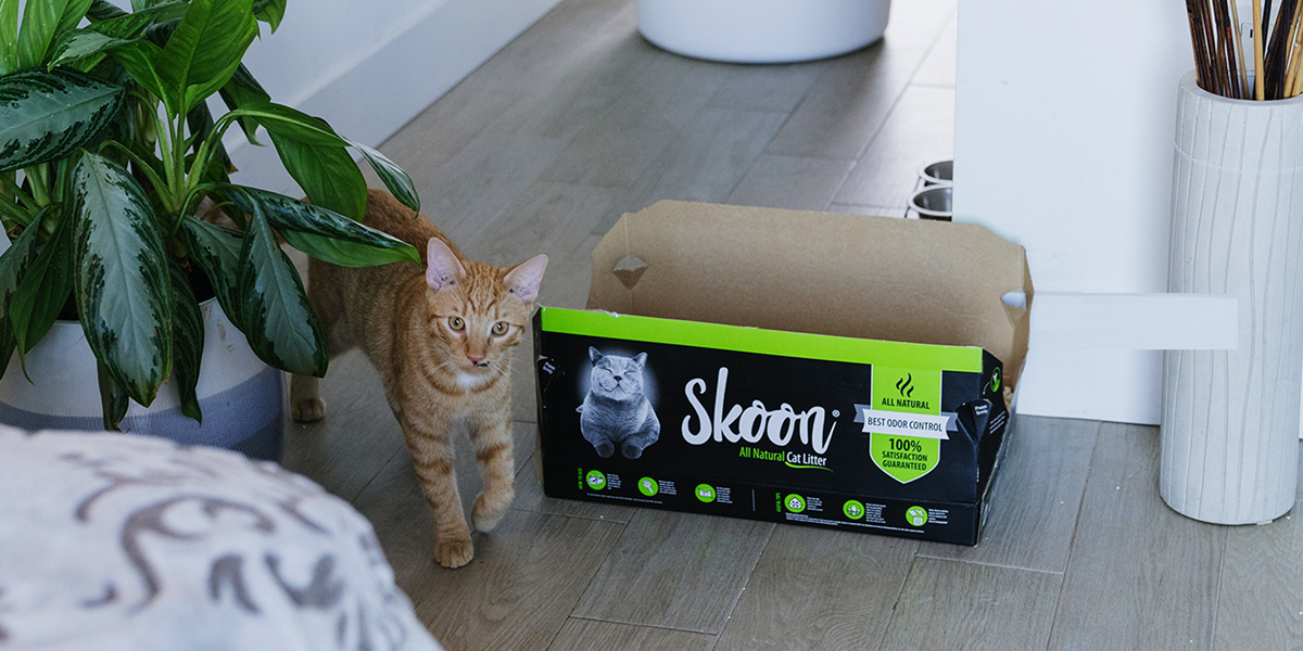 Support Cat Health with Skoon
