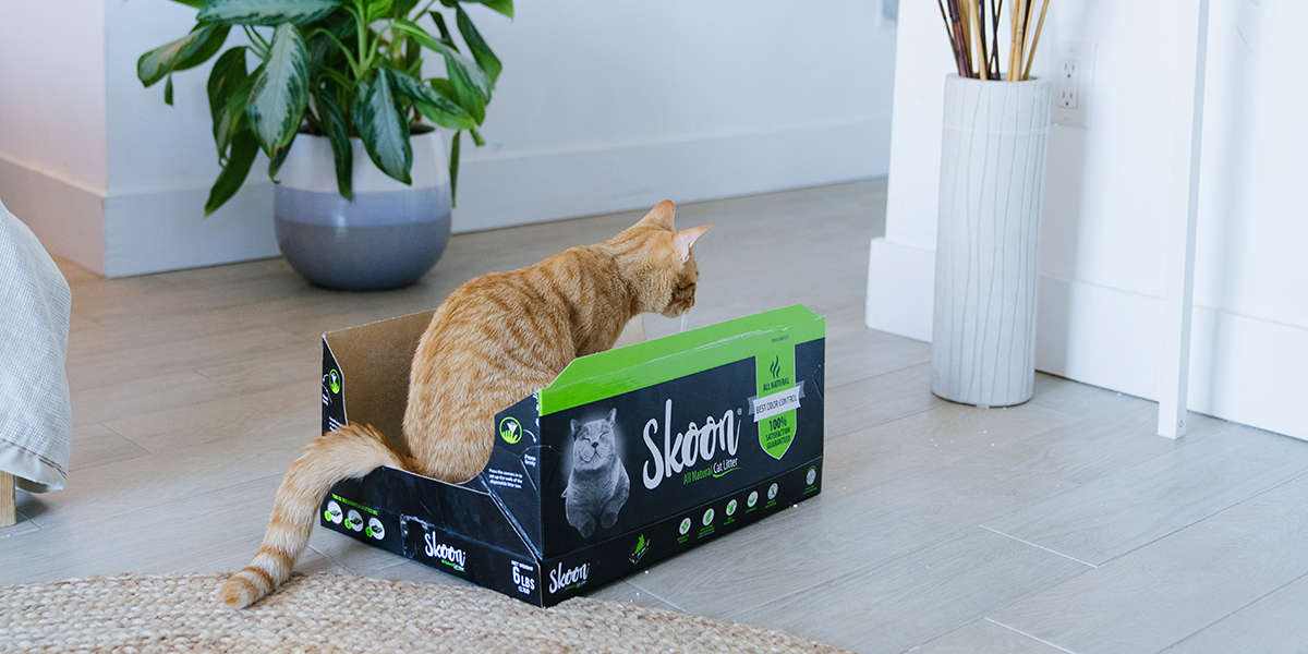 Make the Healthy Choice: Skoon Cat Litter