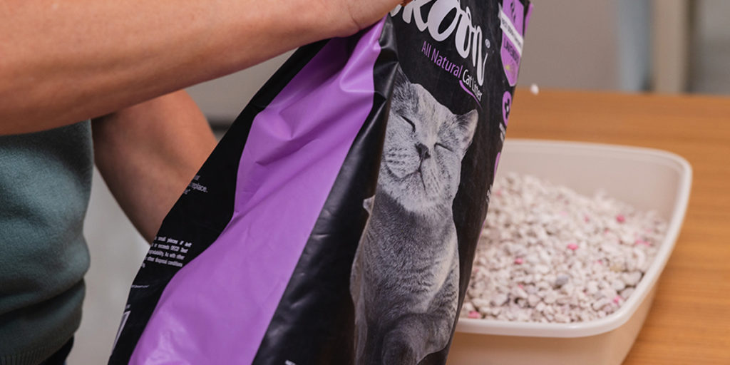 How Can Lavender Help Cats? Our Cat Litter Blog Skoon Cat Litter
