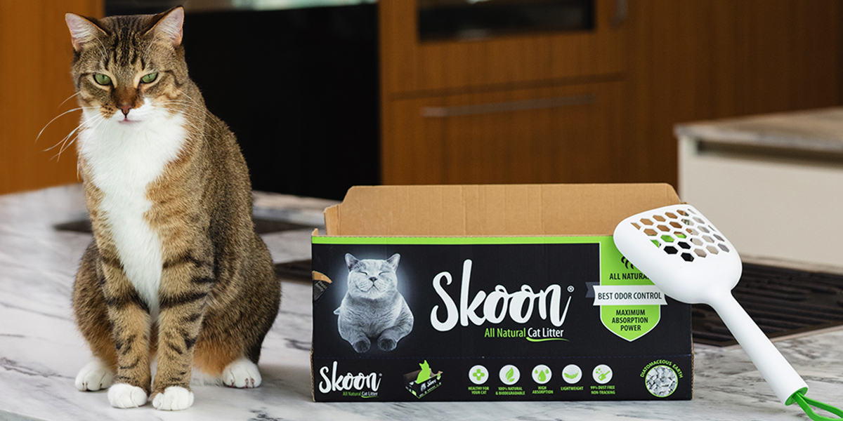 Get Your Home Halloween-Ready with Skoon