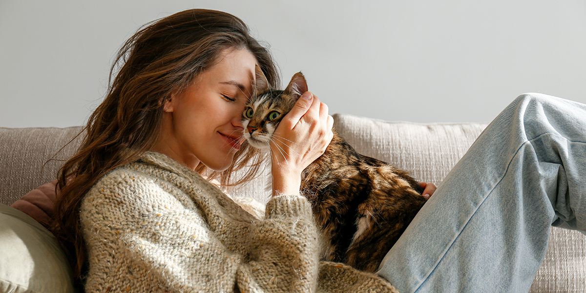 Best Ways To Show Your Cat They Are Loved
