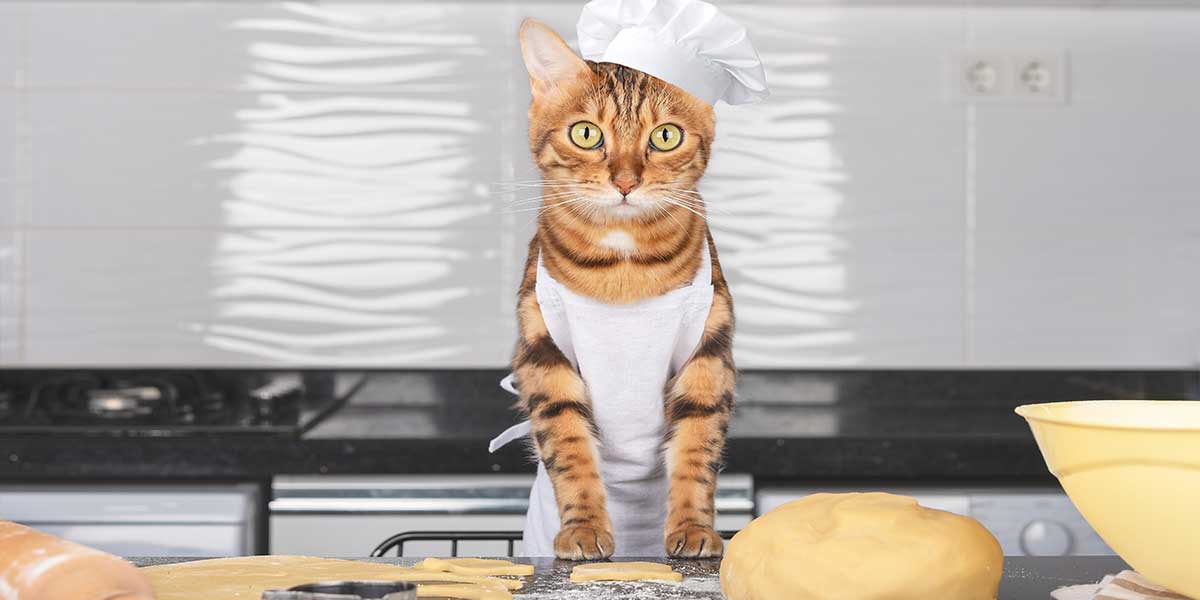Cat Treat Recipes For Saint Patrick's Day