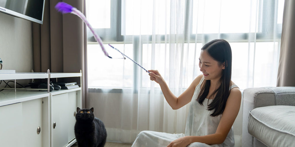 Playtime 101 How Long Should I Play With My Cat? Our Cat Litter Blog