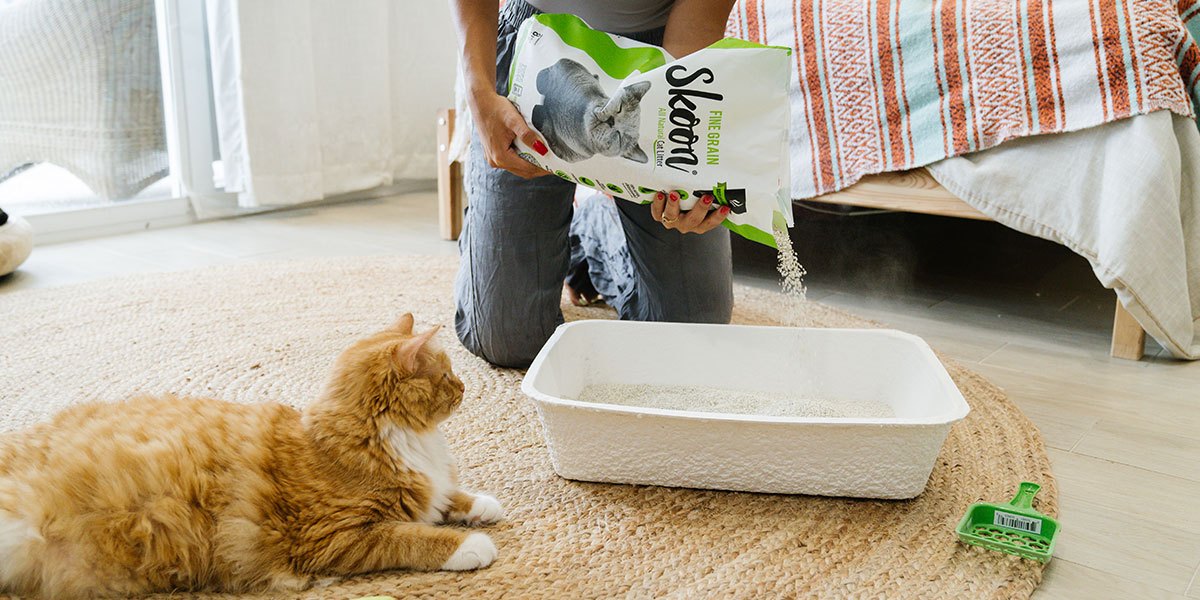 Enjoy Easy Kitty Clean-Up with Skoon