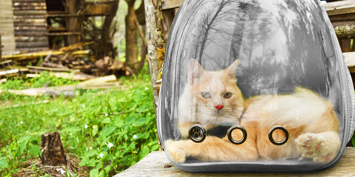 Stay Safe Outside with Skoon’s Catpack Carrier