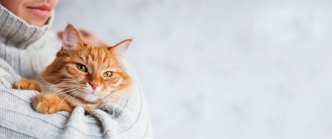 5 Reasons Cat Owners Are Raving About Skoon