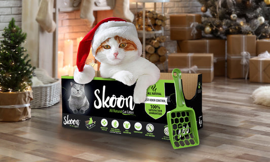 Why a Monthly Litter Box Subscription is the Best Holiday Gift