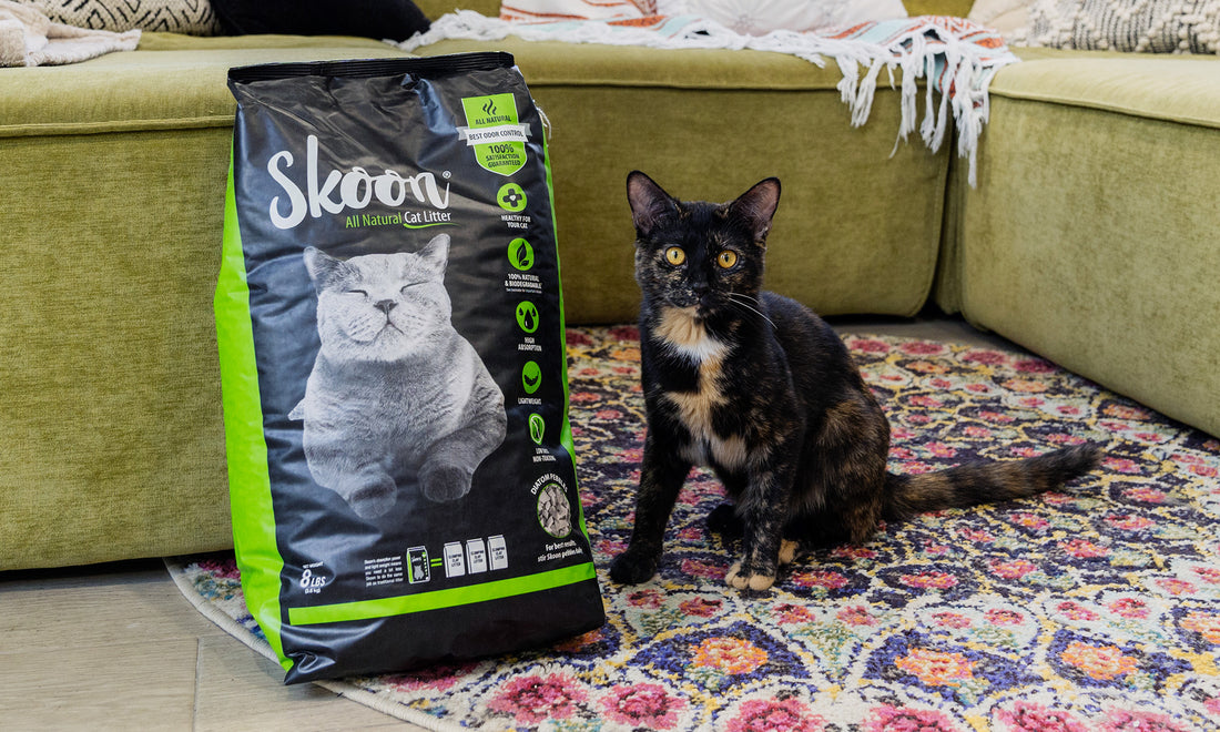 How Does Skoon Rank Among Other Cat Litters?