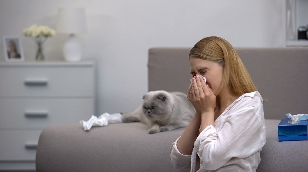 Skoon’s Hypoallergenic Kitty Litter Powers
