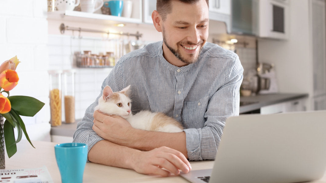 What Skoon Cat Litter Reviews Can Do For You