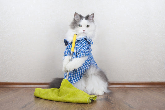 Make spring cleaning easier with Skoon - Floors and Bedding