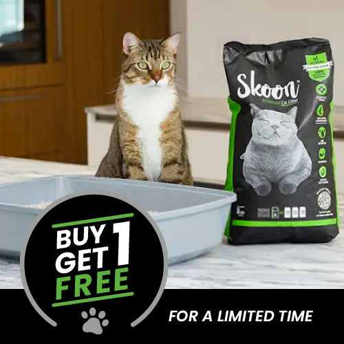 Cat Litter - Slide 1