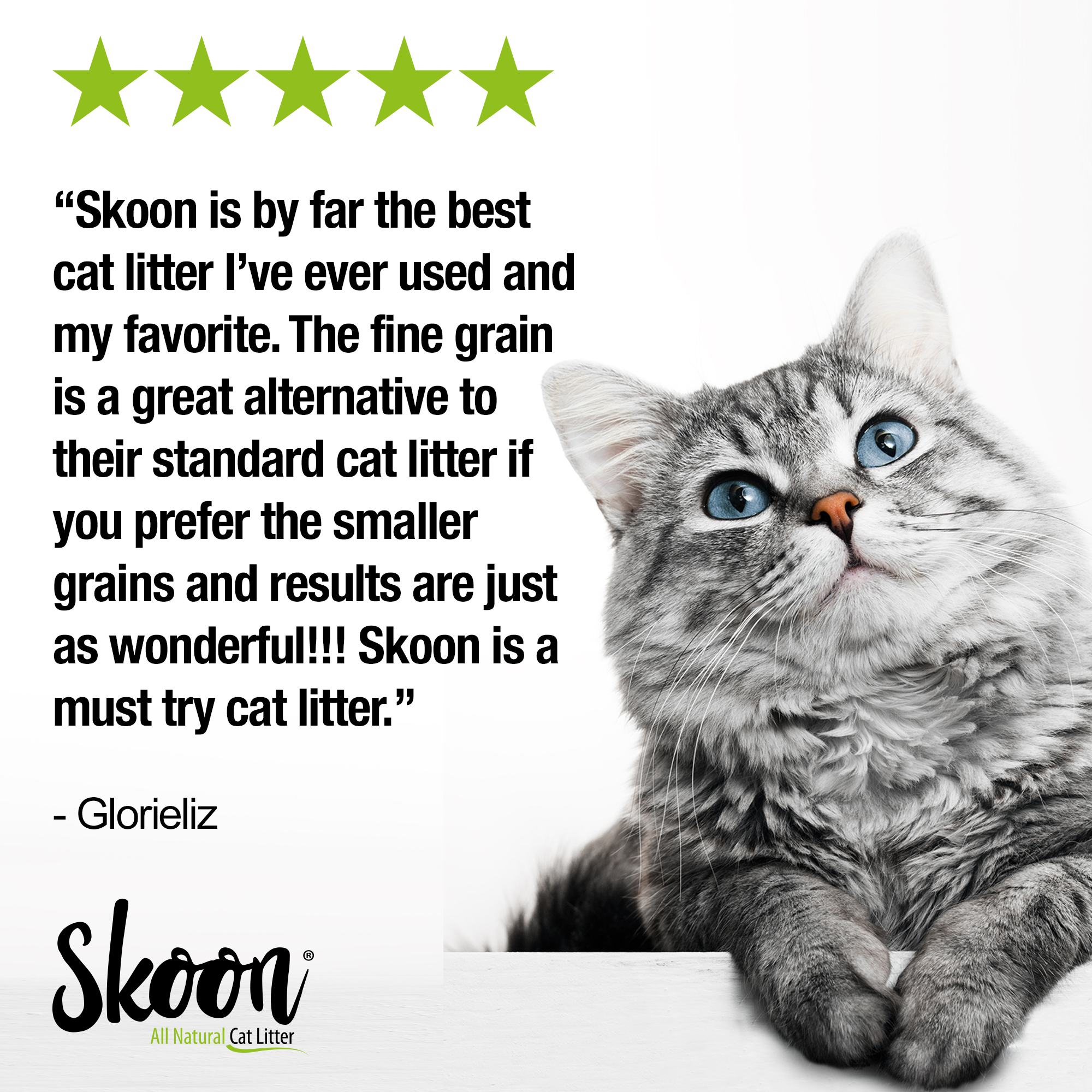 Skoon Cat Litter Fine Grain - 12 weeks